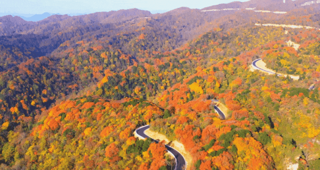 秋日旺苍米仓山大峡谷，申请加入你的旅行清单！