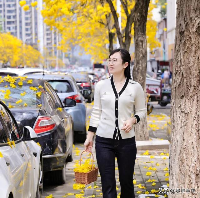 春日限定！贵港这条街道秒变“黄金大道”，落花成景美哭了！