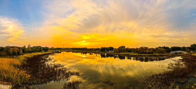 晚霞映照下的宁阳洸河湿地公园