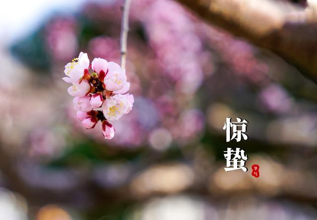 今日十月廿五，老话“十月廿五晴，遍地起坟头”，晴天有啥预兆？