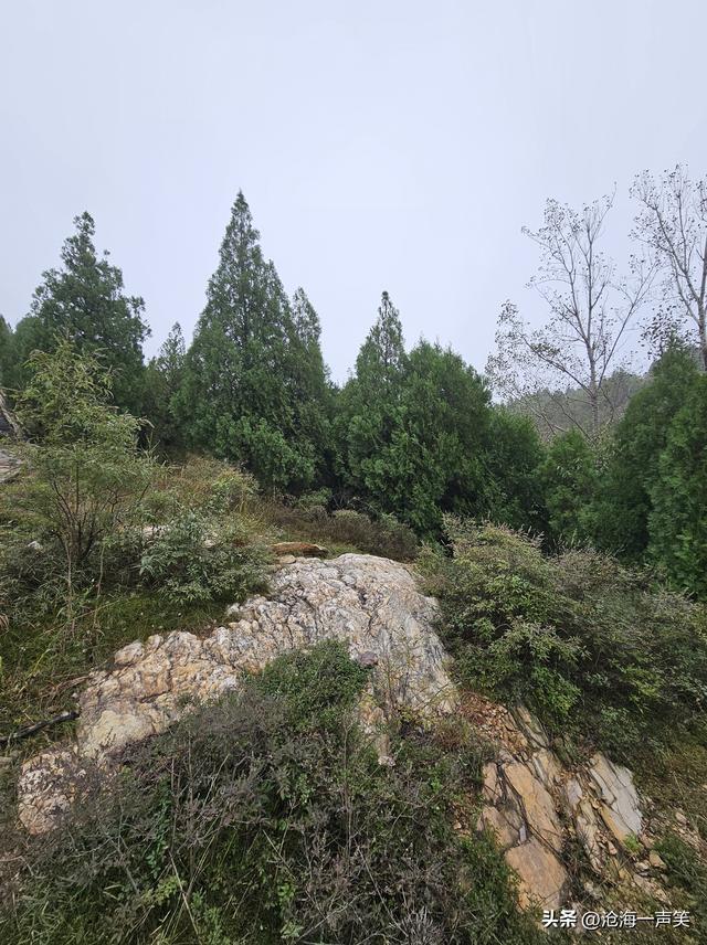 山里那么大，我想去看看，一起打卡大山冬季游吧