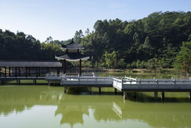 广州秋游封神路线！红叶、银、禅意，3条宝藏线承包你的秋日浪漫