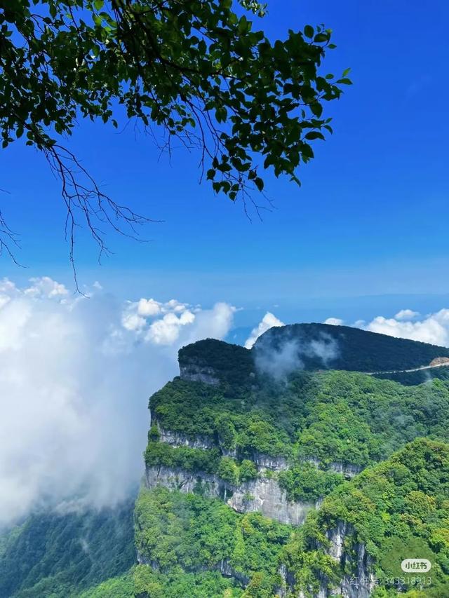 拿捏多巴胺假期！龙头山夏日潮玩避暑清单→