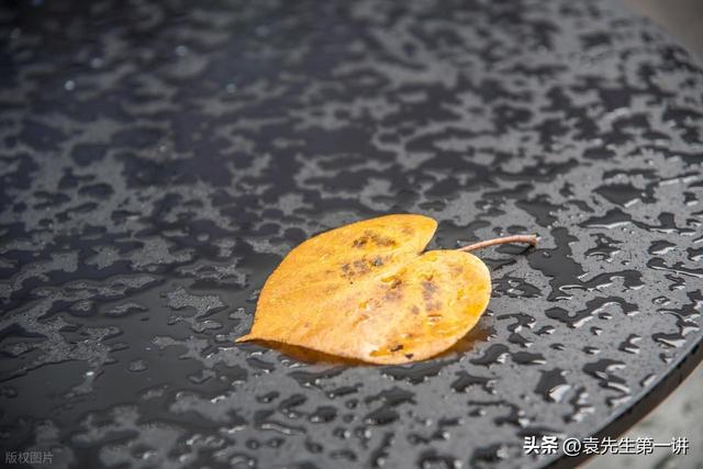 今日霜降，老人说最怕“霜降一日雨”，霜降下雨有啥预兆？早了解