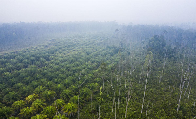 被锁暗室6年：剃毛穿丝袜当玩物，惨状撕开人类伪善面具