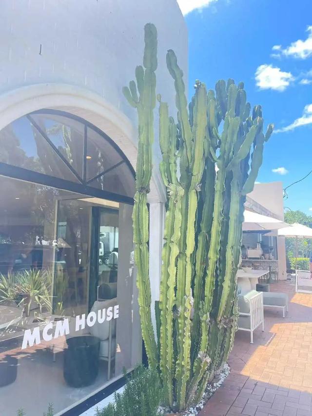 路上·布里斯班 ‖ 又出来赚小时来了