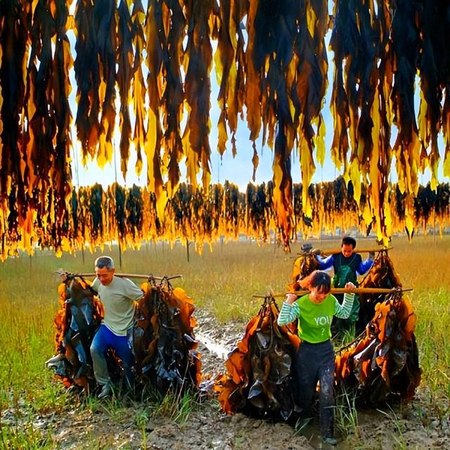 这是油画还是实景？太美太美啦！！