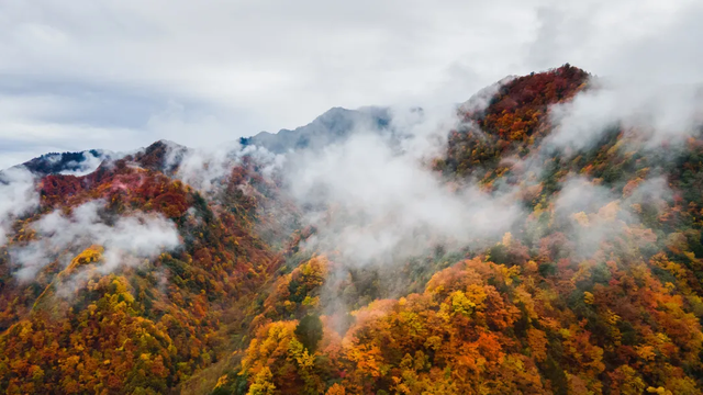 广元不远 周末优选 | 初露染山河，广元发来一份秋日邀请函
