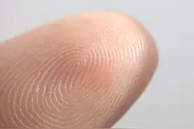 手指能预测健康？院士发明手指操，每天5分钟，帮助预防老年痴呆图片