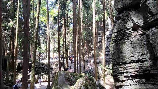 湖北恩施梭布垭石林景区