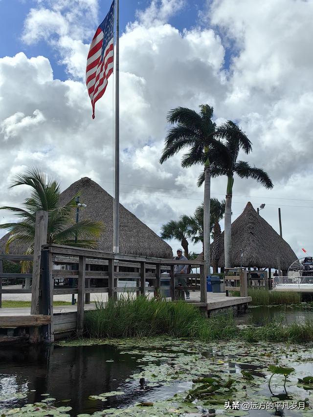 大沼泽地美国国家公园（迈阿密游记三）