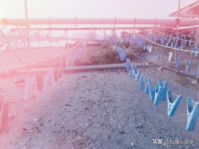 富士 instax WIDE Evo 评测