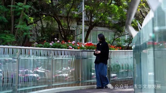 连通翠湖、昆明老街片区！翠湖城市绿道建成开放