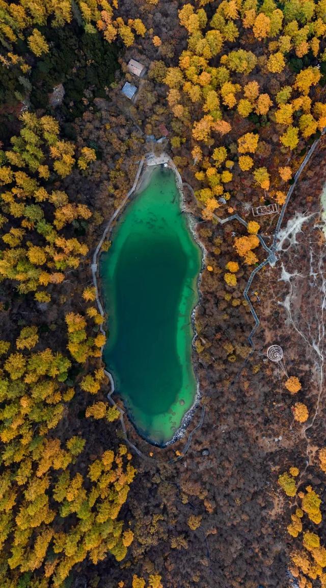 停停停！甘孜秋天美得太快了我看不过来