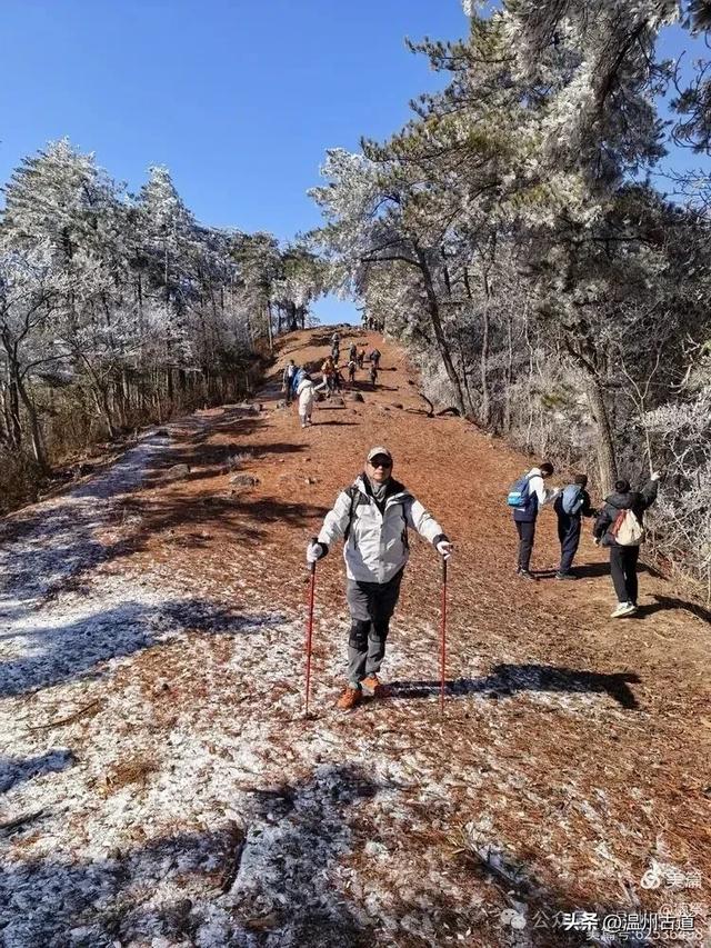 邂逅2026年的第一场醉美雾凇！温州四海山的雾凇美爆了！