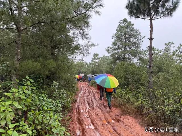 徒步石林蓑衣山、赏水上石林,遇降雨淅淅沥沥,收获特别的体验