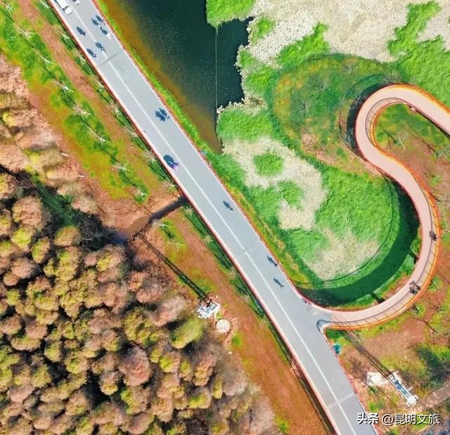 超详细攻略!在昆明官渡,与鸥共舞,六种玩法开启冬日漫游!