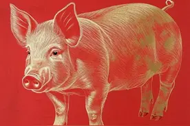 生 肖 猪：和这三个生肖结婚，注定是上等婚，福气满园，富 贵进门！图片