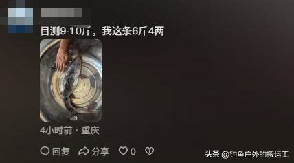 1条值0.5个W？重庆男子钓到1条近10斤淡水鱼！网友：2800元卖给我