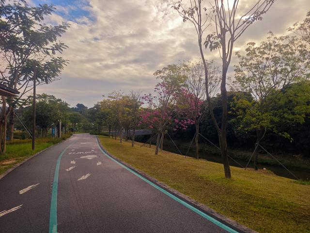 环西丽湖绿道骑行慢行随拍-动个好奇心