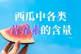西瓜——各类营养的含量及功效价值（西瓜VS其他水果）图片