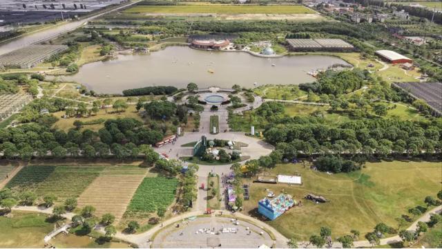 初冬逛沪郊！奉贤、崇明限时优惠来啦