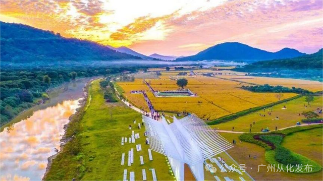 登高赏秋！从化风云岭秋色如画→