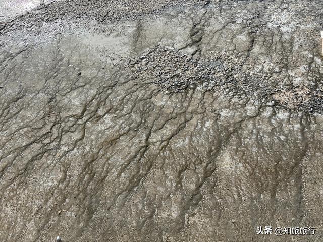 2025环球知旅——美西十三日(黄石公园5.9)