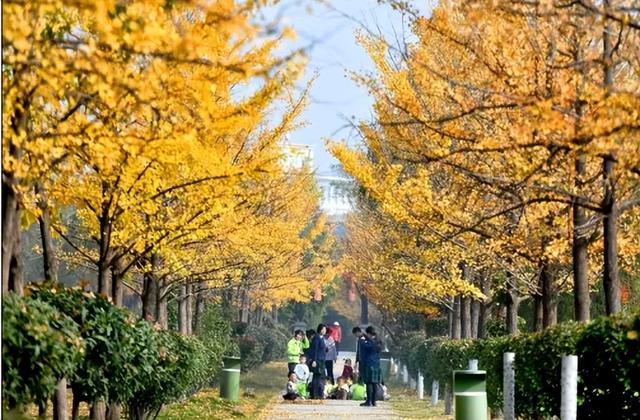 五彩斑斓的白龟湖国家湿地公园