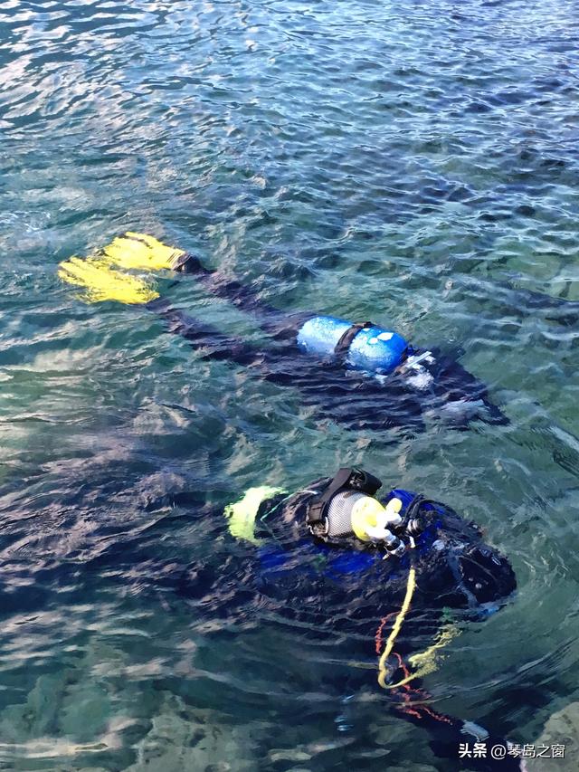 马尔代夫惊魂：专业潜水员被遗忘35分钟，暴露潜水行业三大漏洞