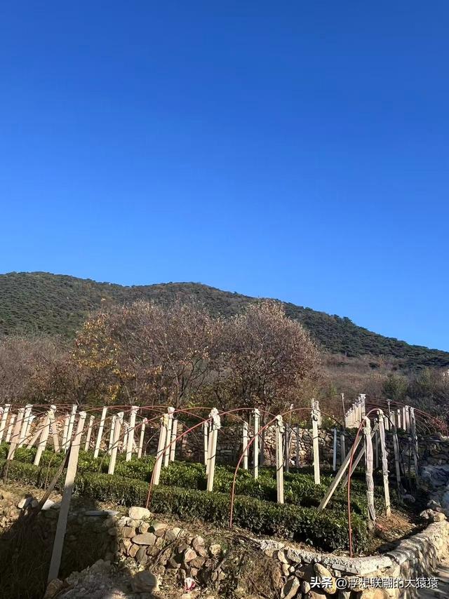 泰安岱岳区曹家庄隐佛崖打山泉水游记