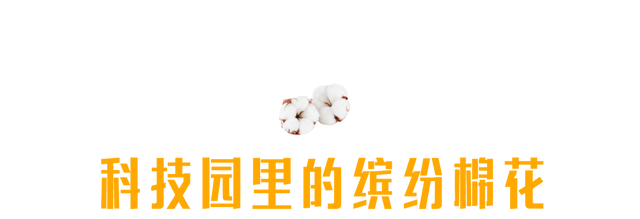 一份乌鲁木齐博物馆地图
