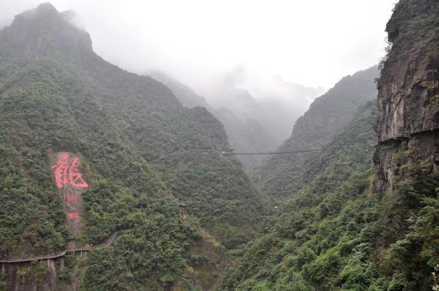 一年一度，免票景区回归！春天去这些地方再合适不过了