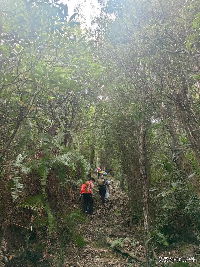 永定奥杳梯田穿越九十九岽徒步
