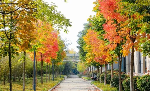 【多图预警！】这里不是5A景区，是鲁南制药！