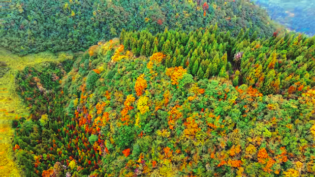 去邛崃！赴一场暖阳与山间的私语