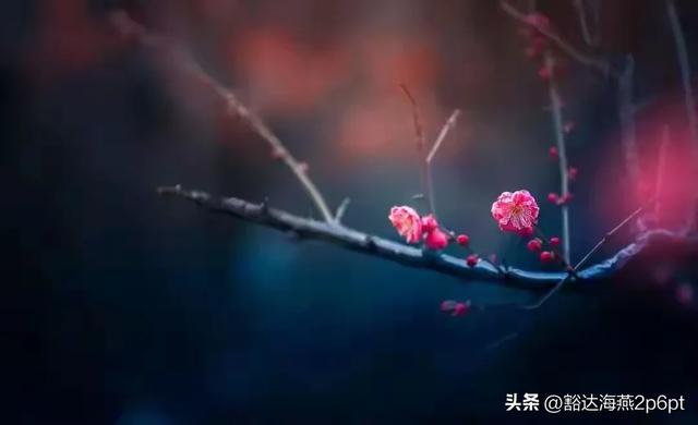 当年计划生育是谁提出来的?你万万想不到