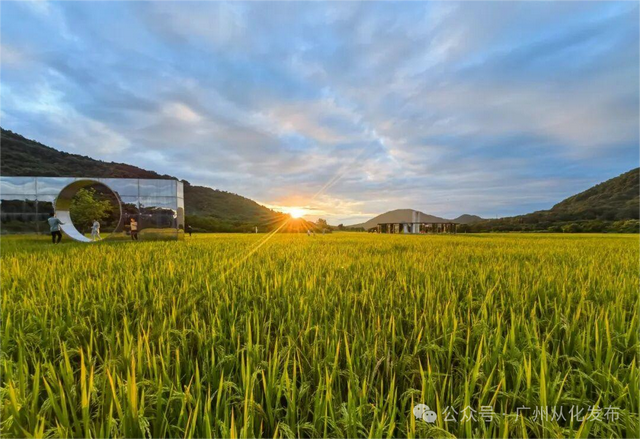 登高赏秋！从化风云岭秋色如画→