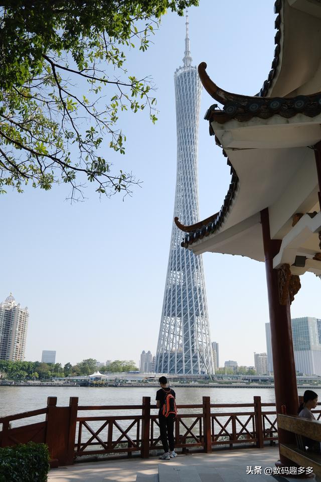广州一年四季这景点都有花海，绝美赏景地