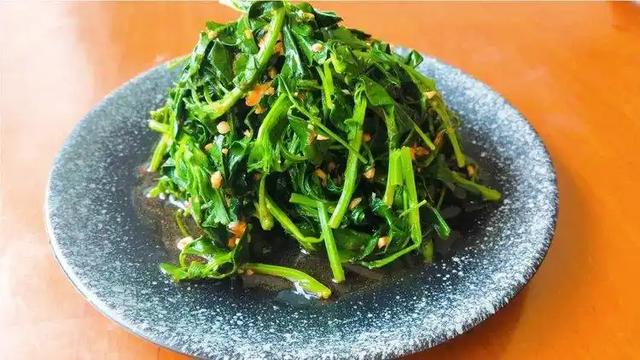 野菜美味背后的真相，苦菜荠菜小心致癌，被警告不再贪吃