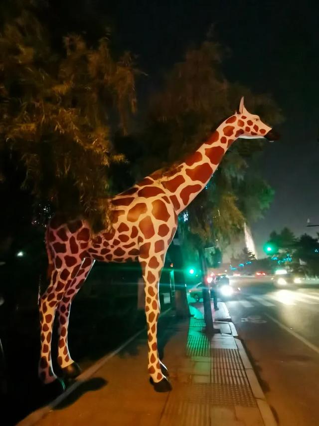 美轮美奂的吉林松花江畔夜景