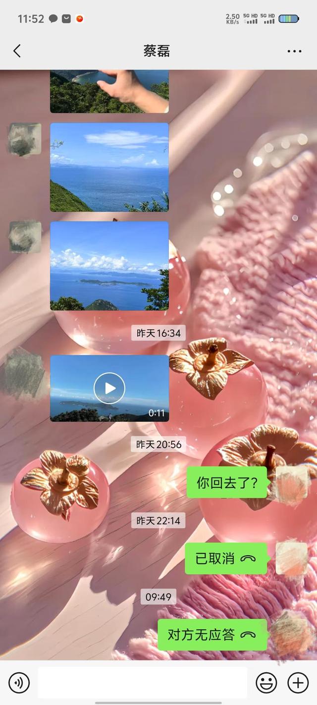 蔡磊遗体疑似被找到，裸露在荒山野岭，手机却莫名其妙丢失？