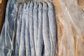 胶东农村的鱼文化：“唇唇嘴”藏着啥故事？图片