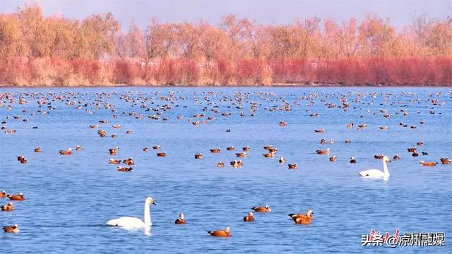 被甘肃“暖”到了！