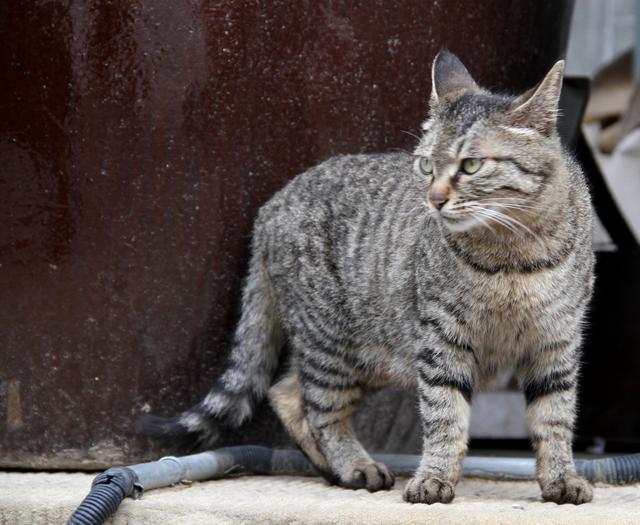 徜徉·太原古县城·太原