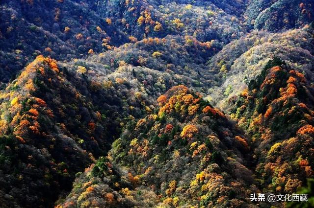 旅游资源普查成果云览 | 藏东明珠——昌都