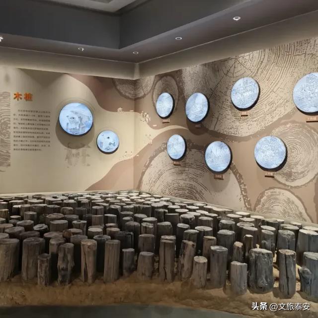 “北方都江堰”!秋日阳光洒在戴村坝,碎成万点金光!