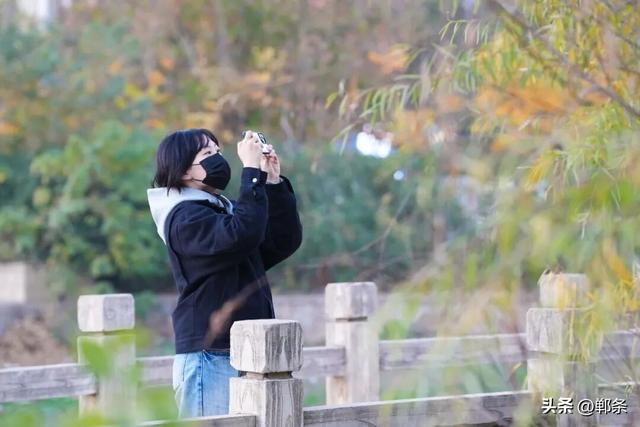 邯郸冀南新区：初冬美景入画来