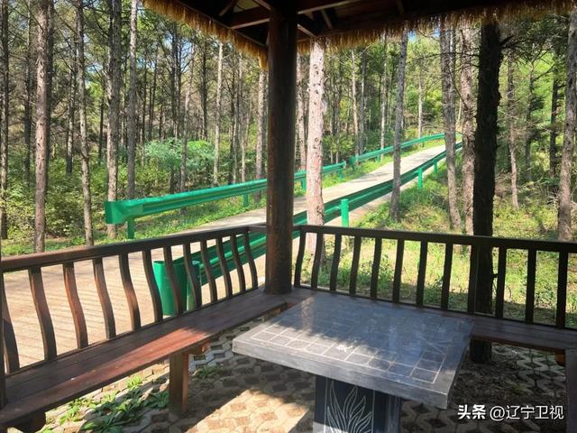 安利给所有徒步小白!沈阳出发1小时车程,解锁一片绝美秋色,走走停停超惬意~
