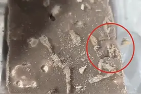 女子巧克力吃一半后才发现布满虫卵：在保质期内，还有活虫在动图片